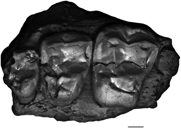 Figure 5