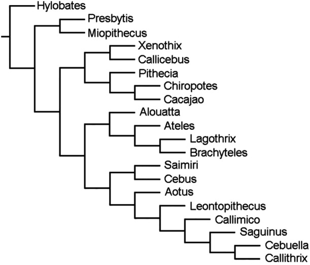 Figure 7