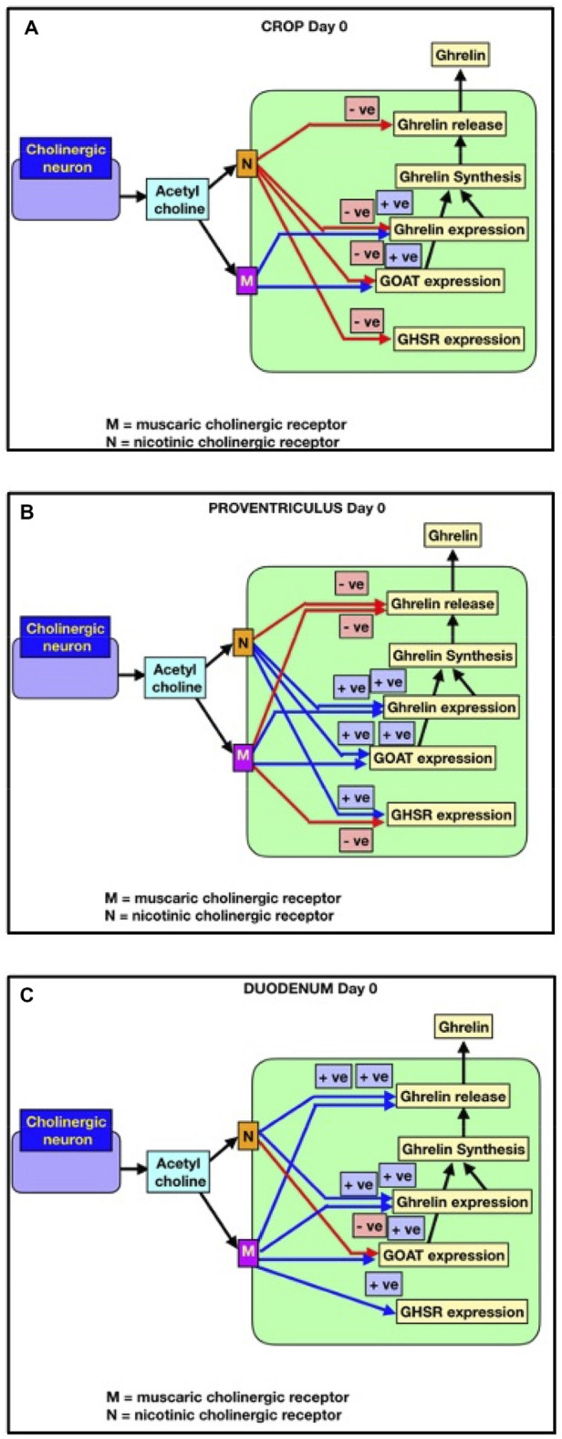 FIGURE 3