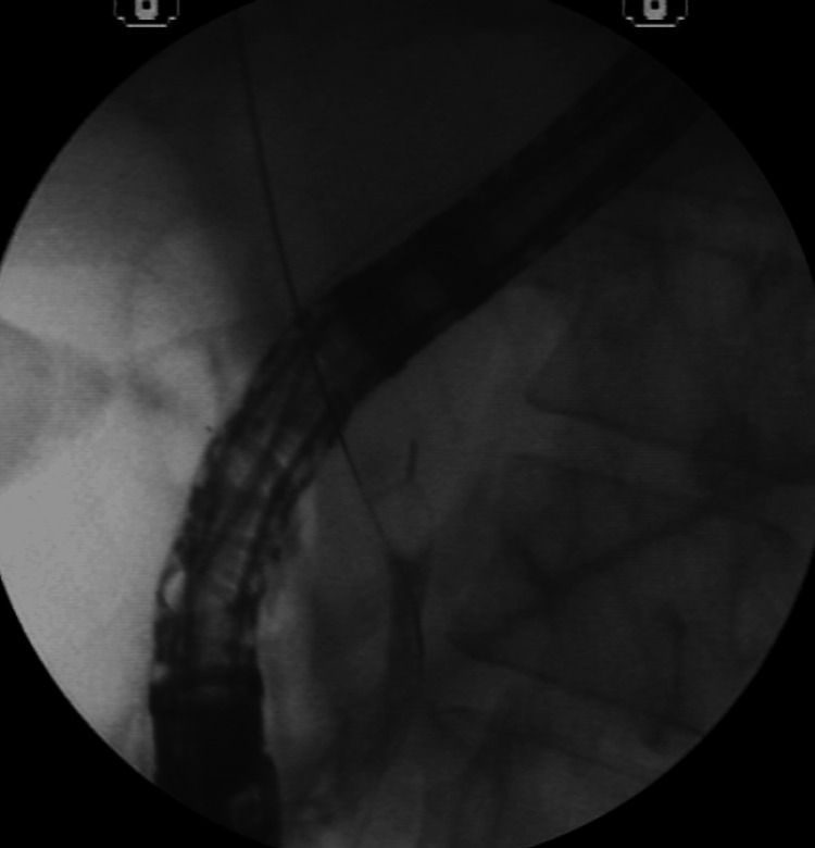 Figure 8