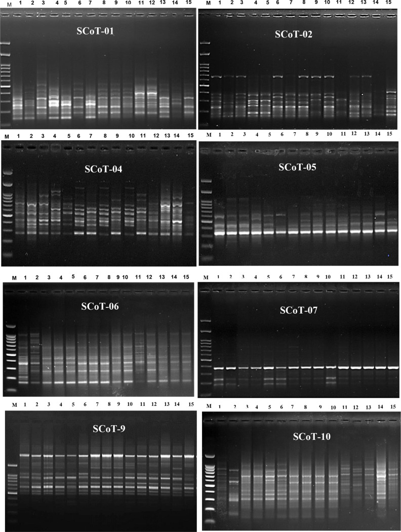 Figure 11