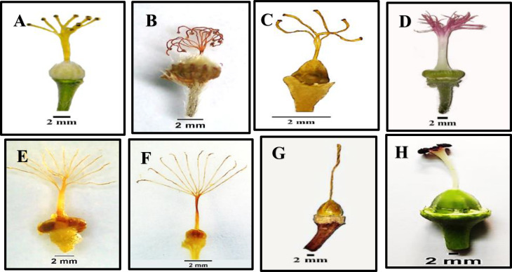 Figure 9