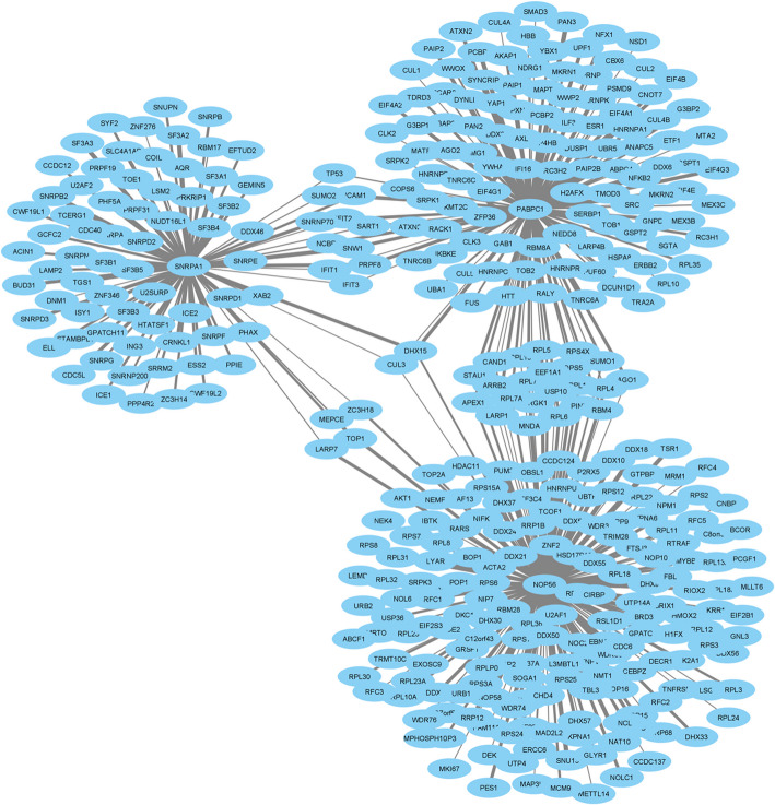 Figure 7