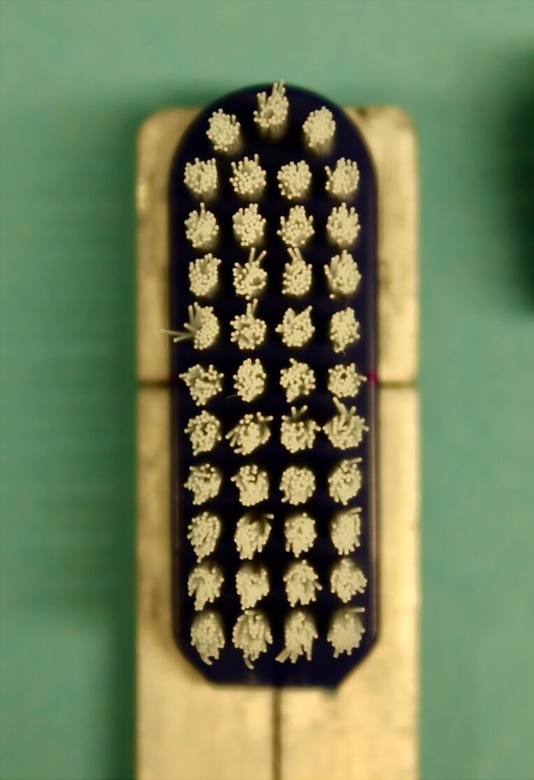 Fig 6