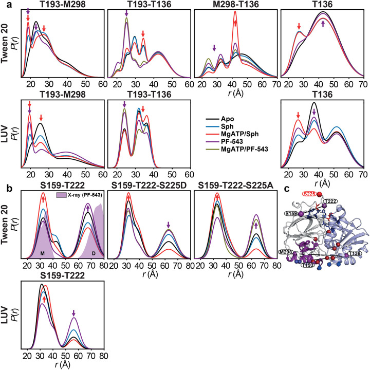 Extended Data Figure 9