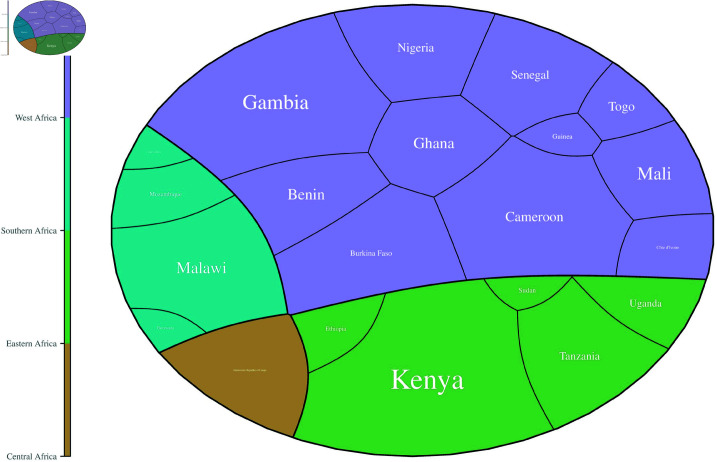 Fig 6