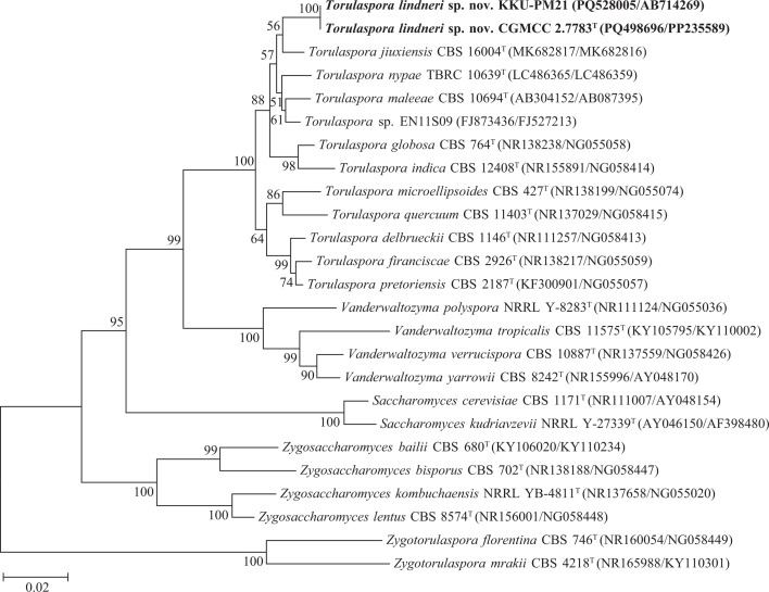 Fig. 1