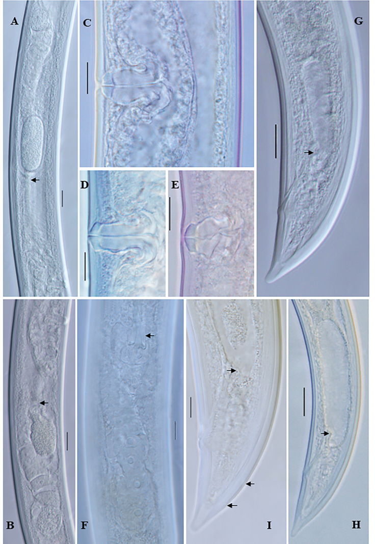Figure 9