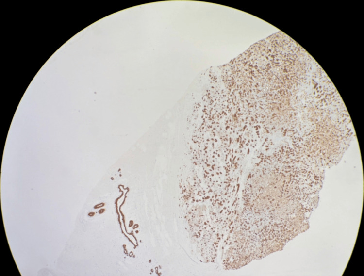Figure 9