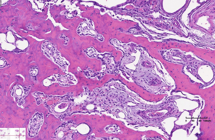 Figure 15