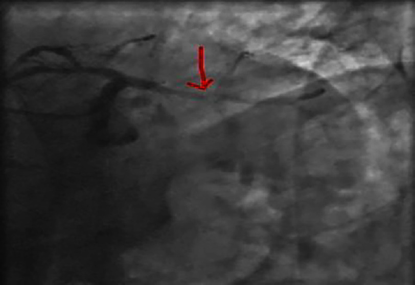 Figure 5