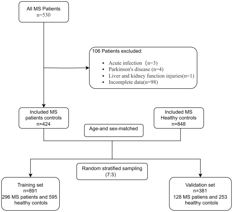 Figure 1