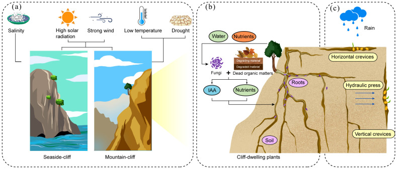 Figure 1