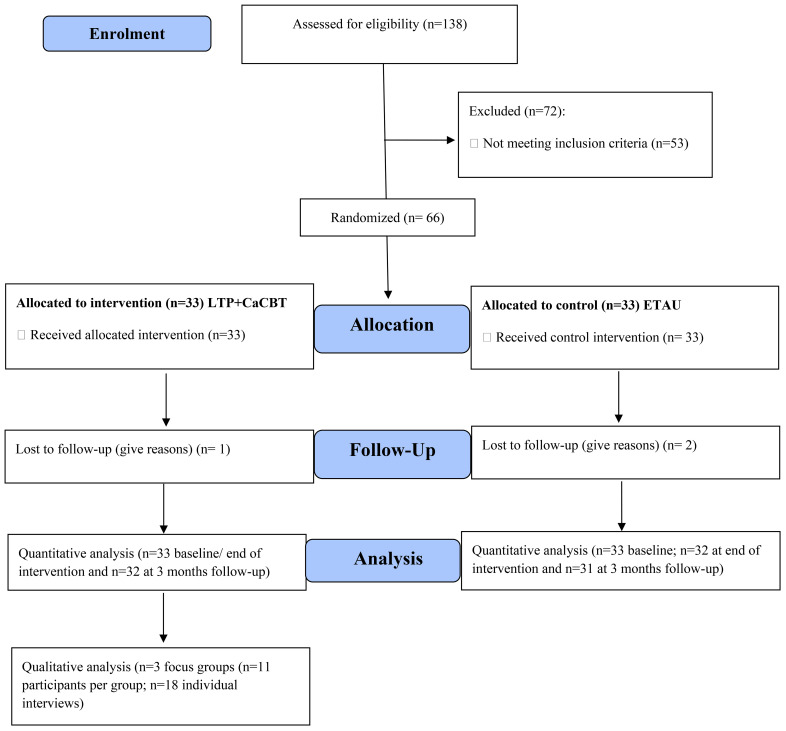 Figure 1