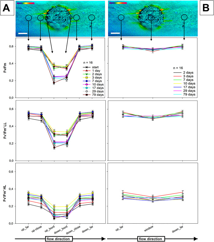 Figure 10