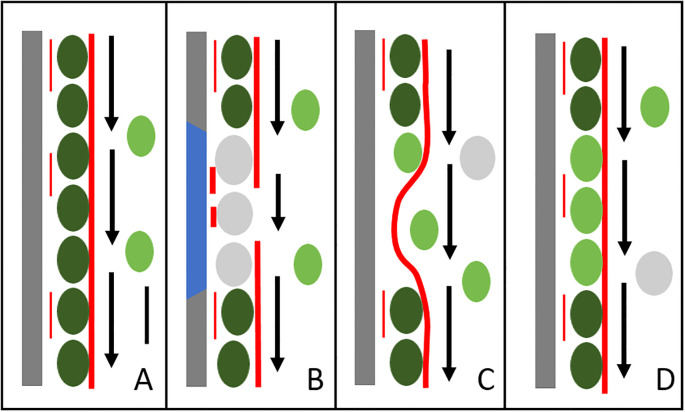 Figure 12