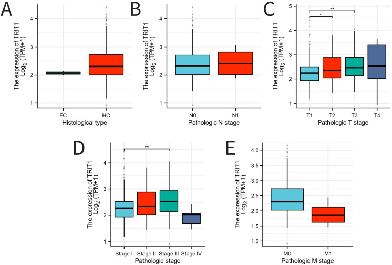Figure 3