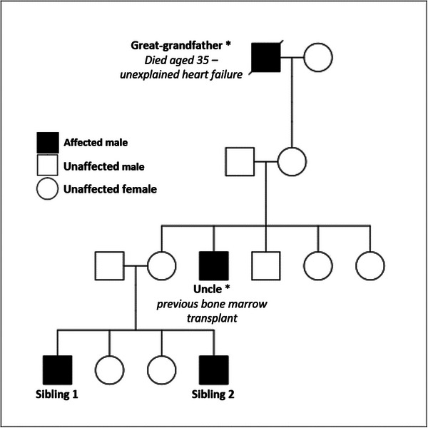 FIGURE 1