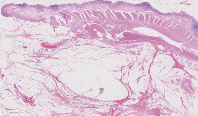 Fig. 9