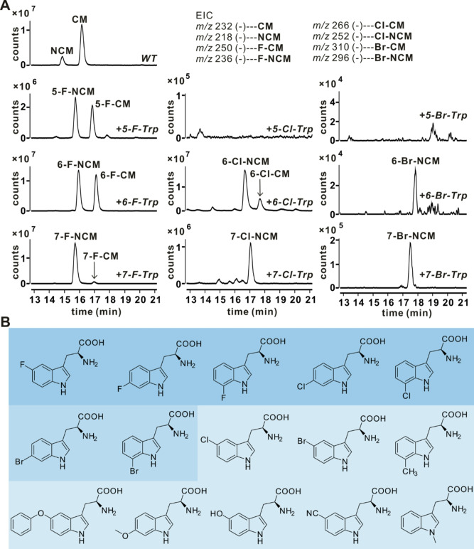 Figure 9