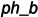 Figure 29