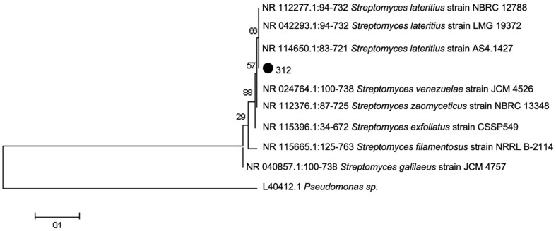 Figure 5