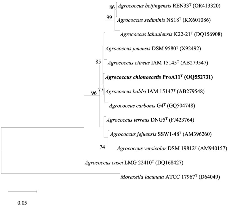 Figure 2