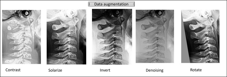 Figure 2