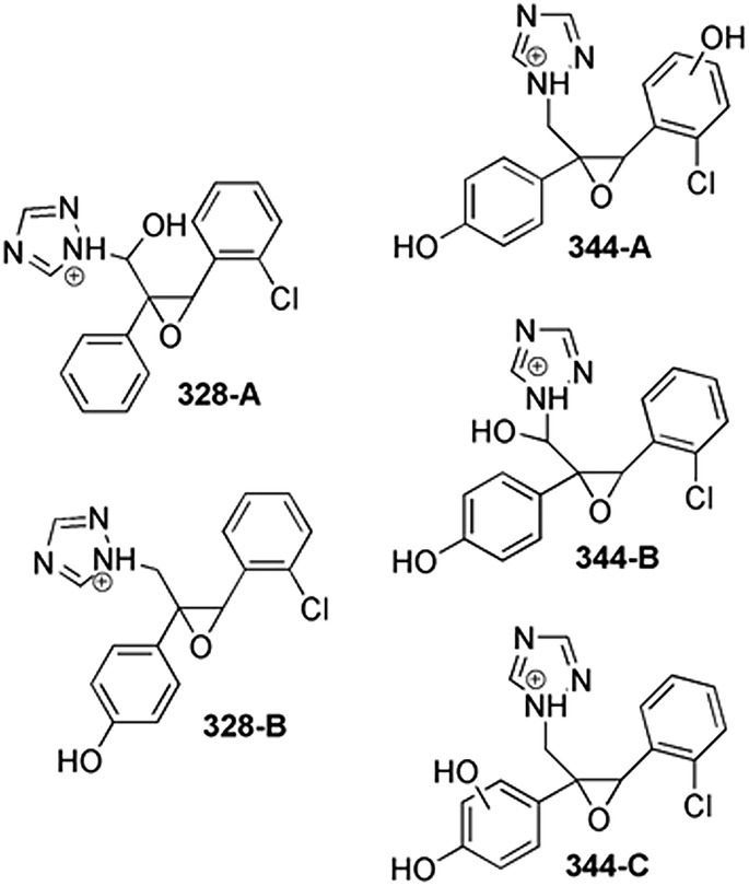 Figure 5