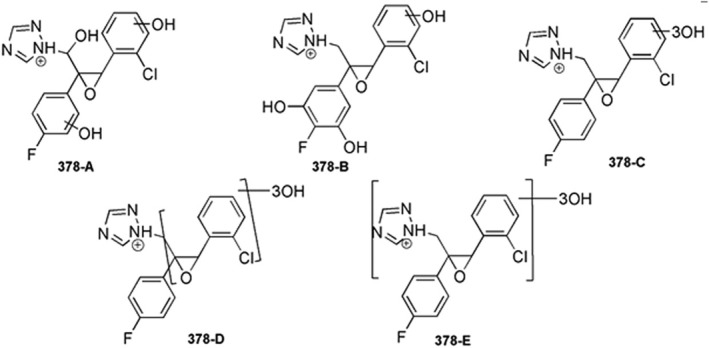 Figure 12