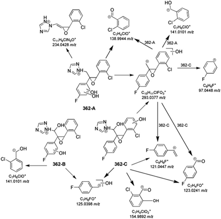 Figure 14