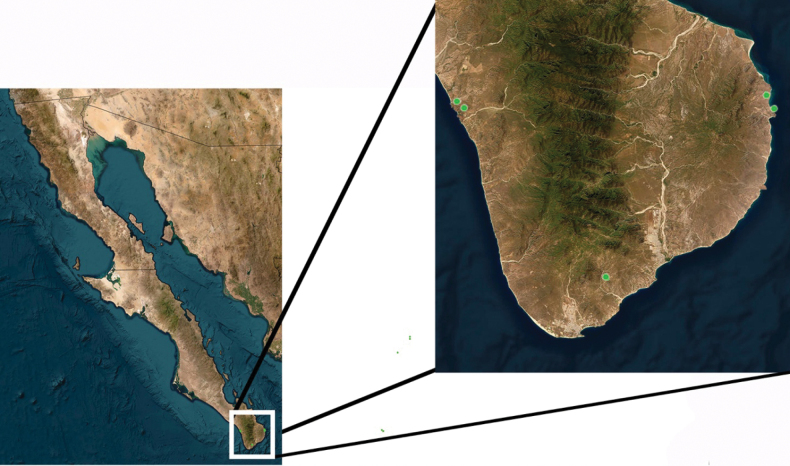 Figure 16