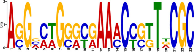 Figure 5
