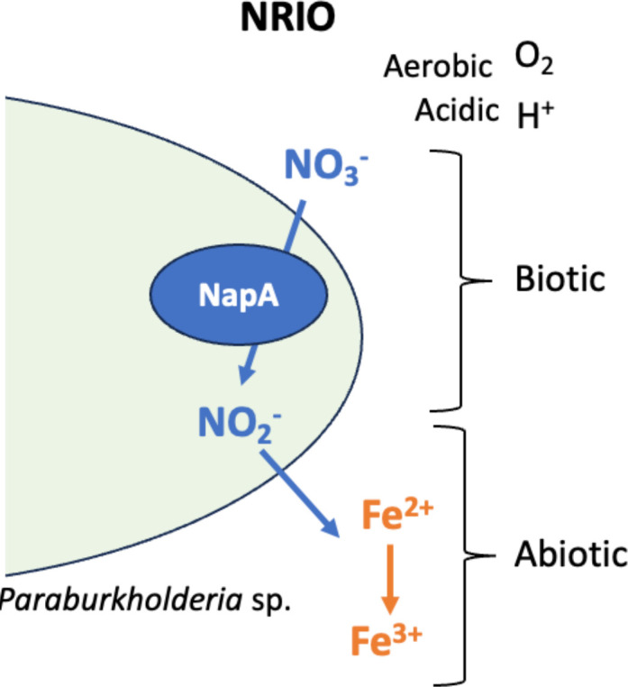Figure 8