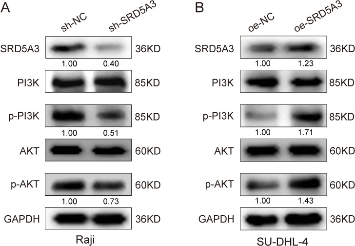 Fig 12