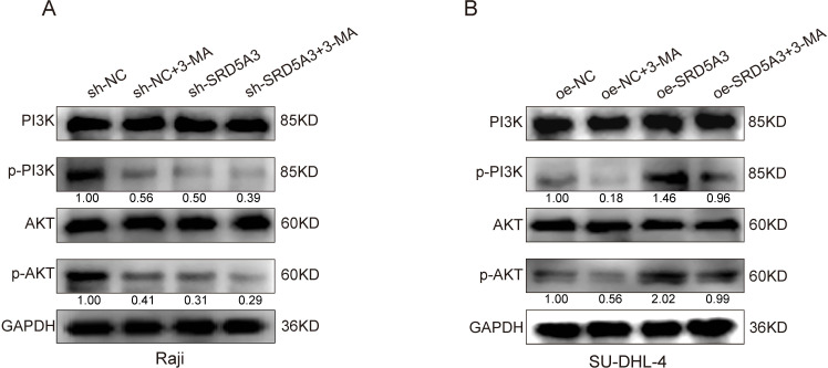 Fig 13