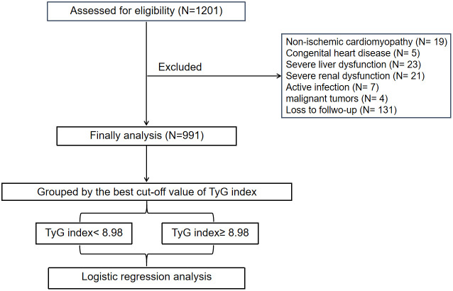 Figure 1