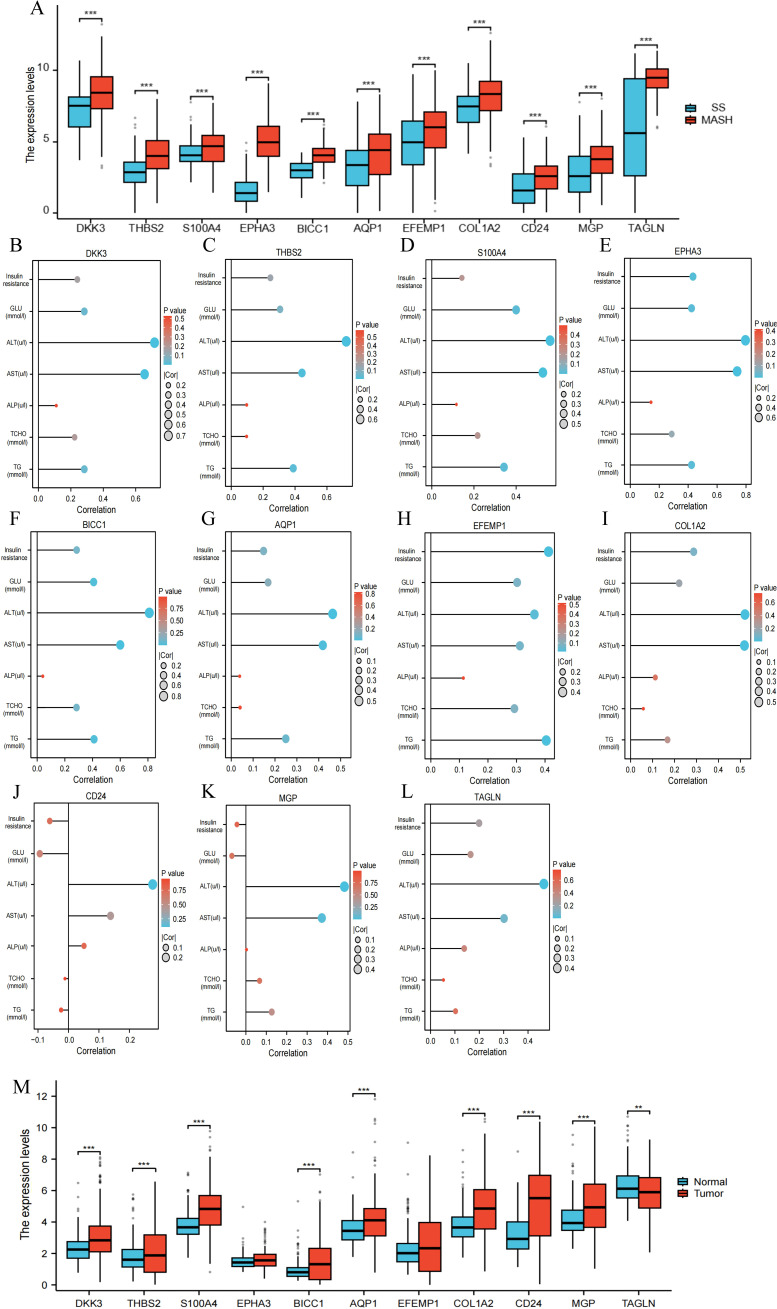 Figure 10