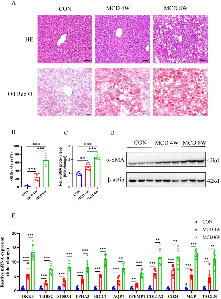 Figure 11