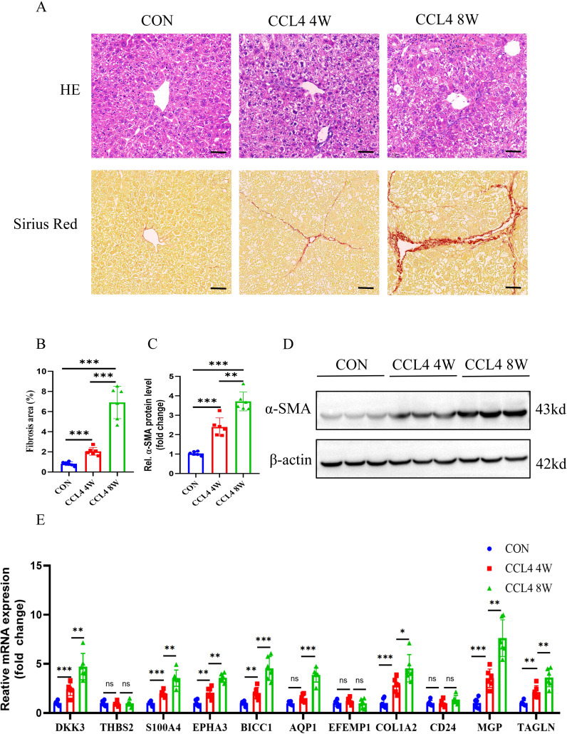 Figure 12