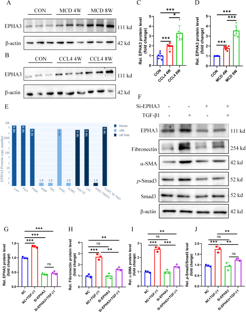 Figure 13