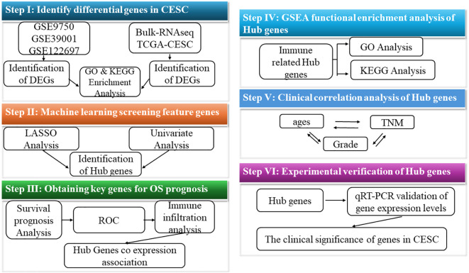 Figure 1