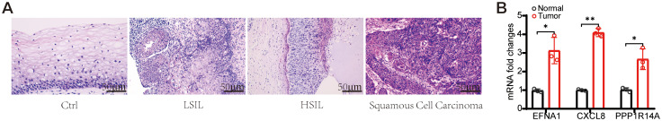 Figure 13