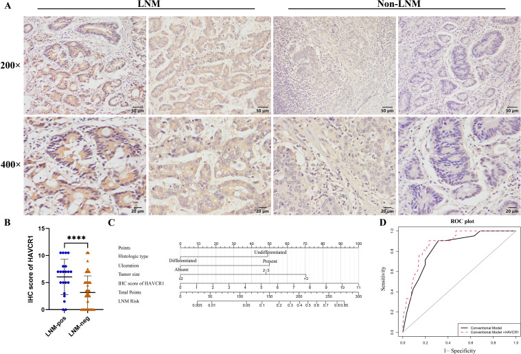 Figure 4