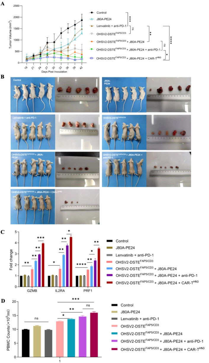 Figure 6