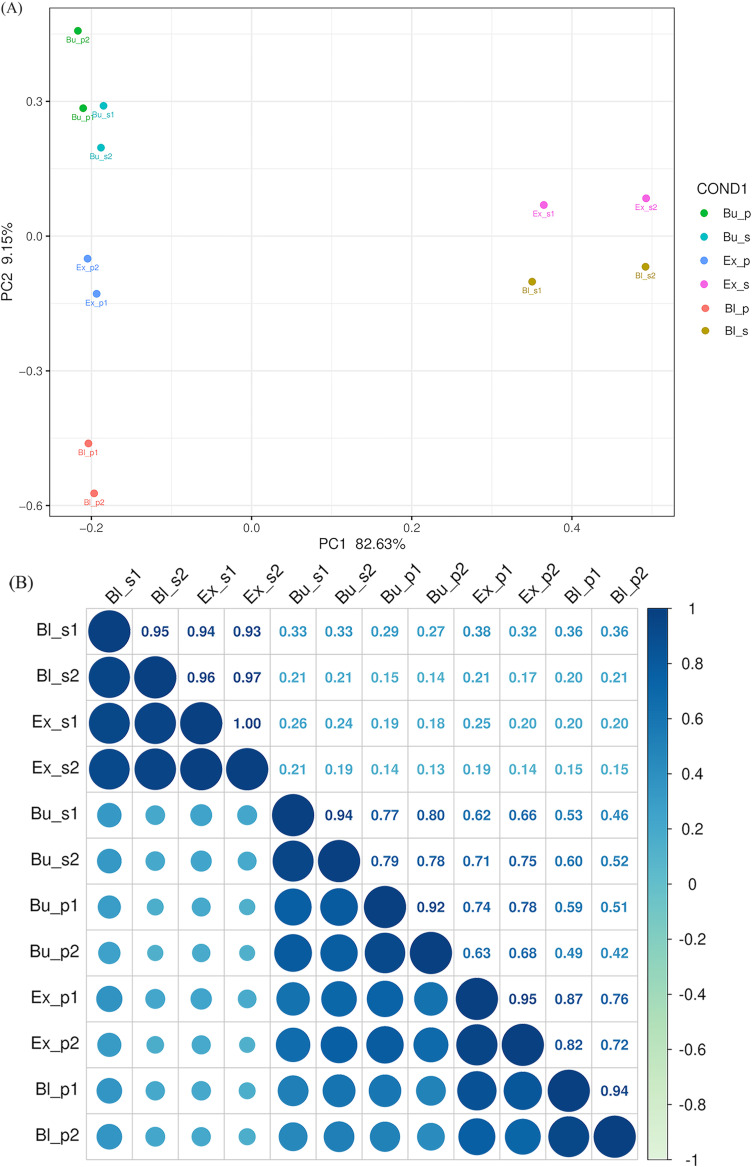 BFigure 3