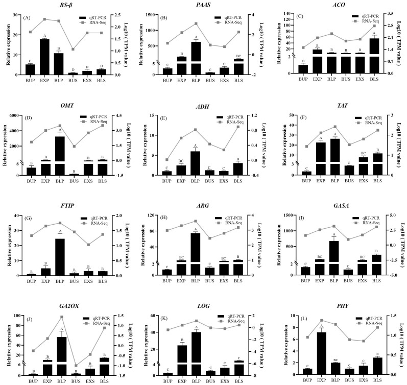 Figure 10