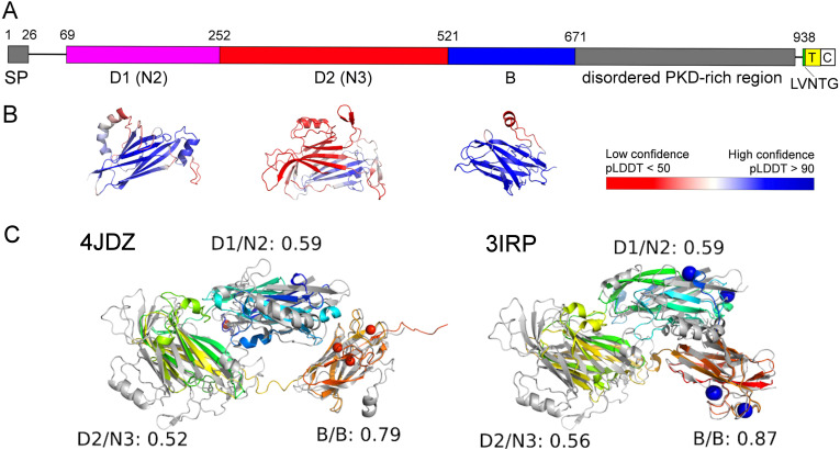 Figure 1