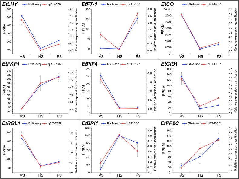 Figure 7