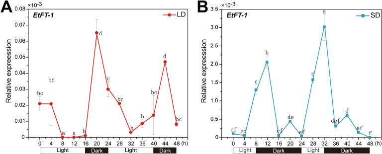 Figure 9